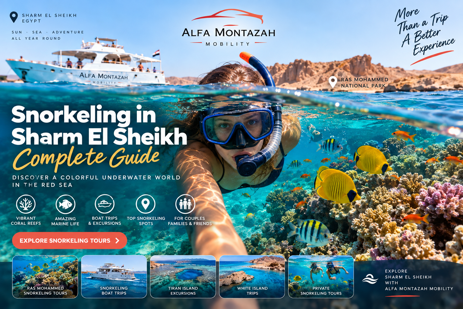 Snorkeling in Sharm El Sheikh: Complete Guide