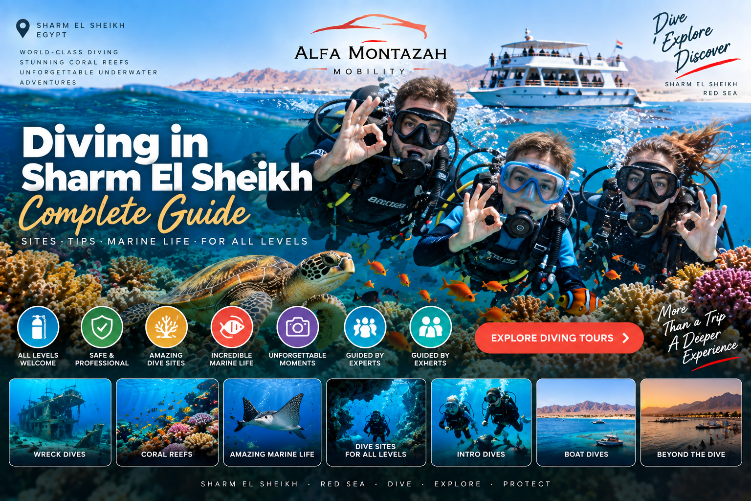Diving in Sharm El Sheikh with scuba divers, coral reefs and Red Sea marine life – Alfa Montazah Mobility؛