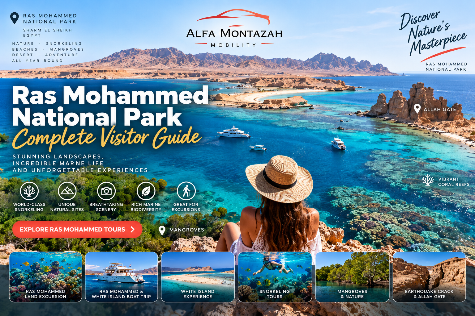 Ras Mohammed National Park Complete Visitor Guide