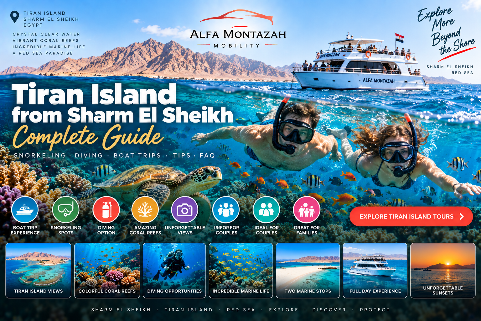 Tiran Island boat trip from Sharm El Sheikh with snorkeling, coral reefs and Red Sea marine life – Alfa Montazah Mobility