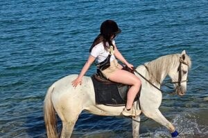 Катание на верблюде и лошади
