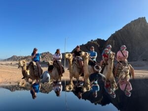 Bedouin Dinner & Camel Ride