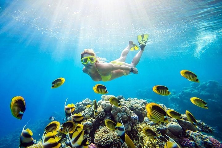 Ras Mohammed & White Island Yacht Trip from Sharm El Sheikh