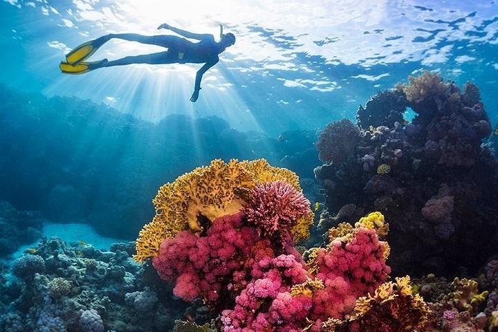 Ras Mohammed & White Island Yacht Trip from Sharm El Sheikh